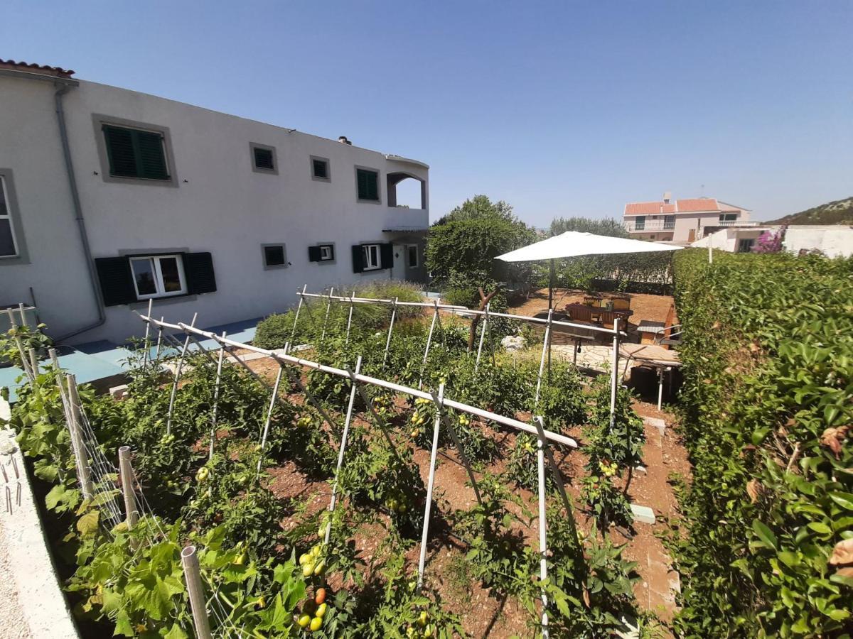 Apartments Borna Drage Exterior photo